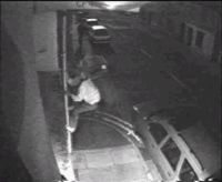 burgess11.jpg (5994 bytes)