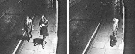 02-08-99 no2.jpg (17062 bytes)