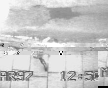 04-08-99 no1.jpg (7106 bytes)