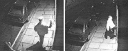 161099NO7.jpg (12458 bytes)