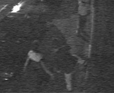 231099NO8.jpg (7401 bytes)