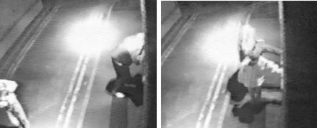 29-07-99 no7.jpg (12456 bytes)