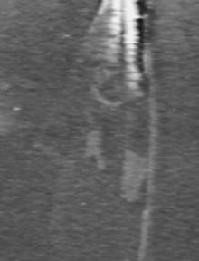 attack 11.jpg (7902 bytes)