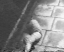 attack 13.jpg (5390 bytes)